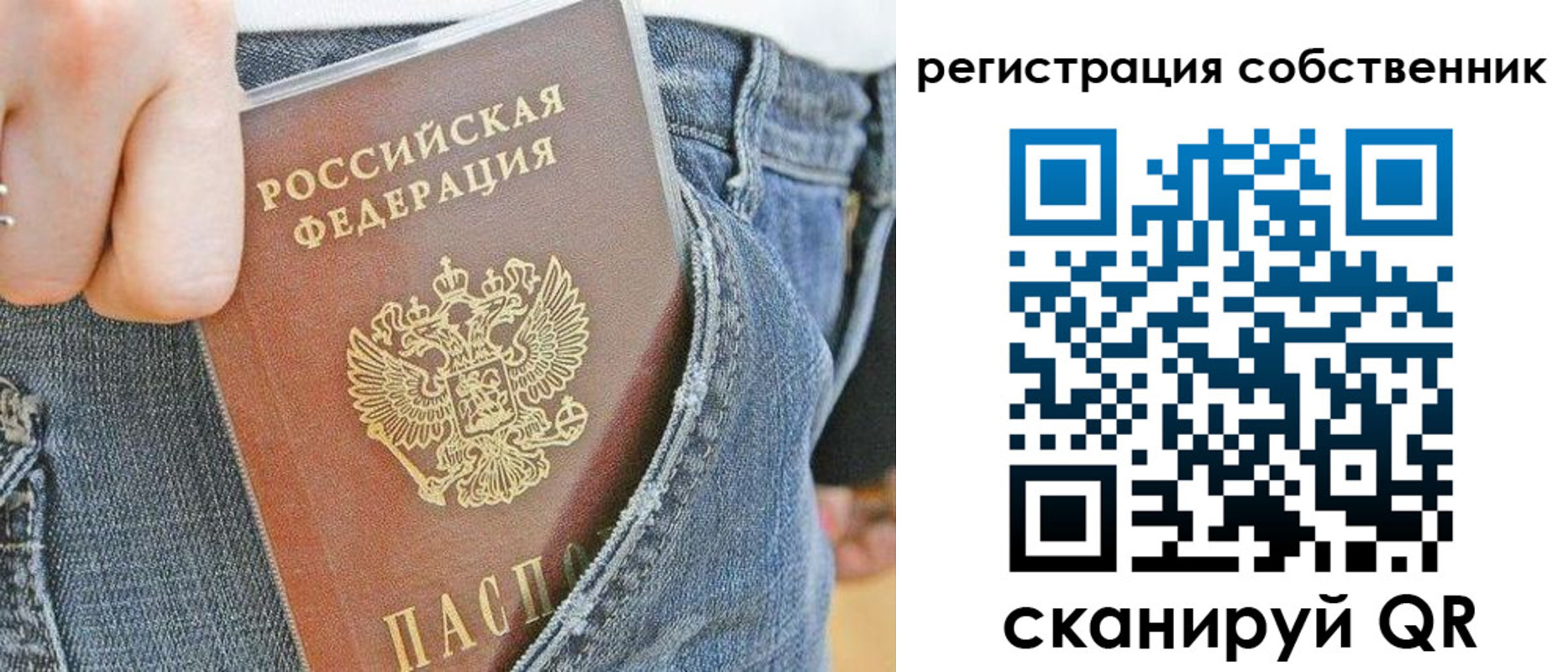 временная регистрация гарантия в Мытищах